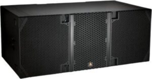 Adamson E219 sub 2×19 inch