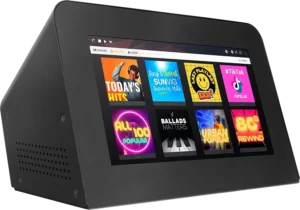 Karaoke set Pro Basis